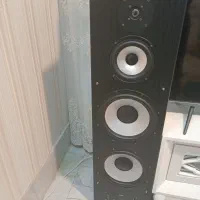 باند دوقلو