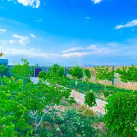 باغ هلو درخت میوه آب برق سند نگهبان شاهنامه گوارشک|فروش زمین و ملک کلنگی|مشهد, توس فردوسی|دیوار