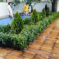 خدمات کلیه باغبانی باغچه کاری هرسکاری کاشت گل وگیا|خدمات باغبانی و درختکاری|تهران, صادقیه|دیوار