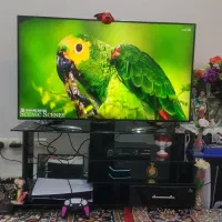 تلوزیون LED 4K شارپ 50اینچ|تلویزیون و پروژکتور|بروجرد, |دیوار