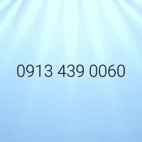 09134390060