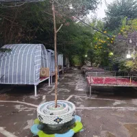 نیروی کار کافه رستوران