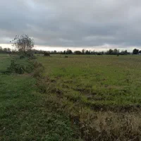 زمین کشاورزی|فروش دفتر صنعتی، کشاورزی، تجاری|خمام, |دیوار