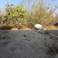 باغ نقلی چهار دیواری دیواربالای 5سال|فروش زمین و ملک کلنگی|صباشهر, |دیوار