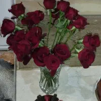 (خریدسفره یکبارمصرف قیمت مناسب)