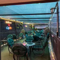 نیروکار سالن دار