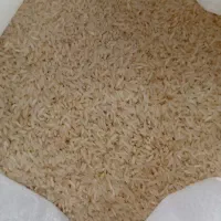 برنج طارم هاشمی وبرنج شیرودی