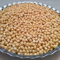 نخودچی و کشمش|خوردنی و آشامیدنی|قم, شهرک مهدیه|دیوار