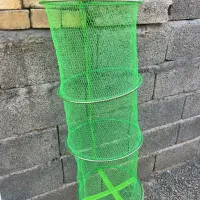 ماهیگیری|ماهیگیری|کامیاران, |دیوار