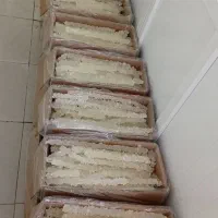 استخدام کارگر در قنادی نبات و آبنبات