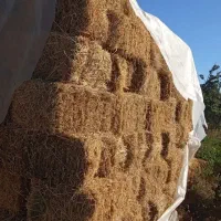 یونجه پرس و دستی