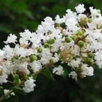 فروش-ملک-تجاری-زراعی