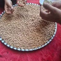 نخود درجه یک امسال قیمت ۱۳۵۰۰۰هزار تومان|خوردنی و آشامیدنی|تهران, شهرک گلها|دیوار