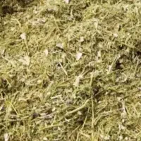 فروش کاه لوبیا قرمز