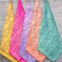دستمال نانو خرگوشی