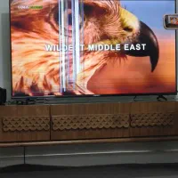 تلویزیون ال ای دی وینسنت