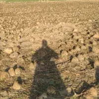 نیازمند نگهبان و کارگر برای چاه کشاورزی