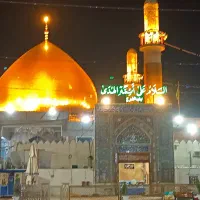 فروش دو عدد فیش حح واجب