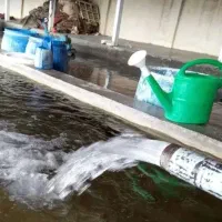 قالیشویی تمام اتوماتیک درخشان|خدمات نظافت|گرگان, |دیوار