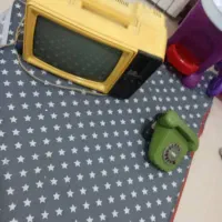 یک عدد تلویزیون قدیمی و یک عدد تلفن خانگی قدیمی|کلکسیون اشیاء عتیقه|گلپایگان, |دیوار