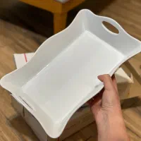 دو عدد دیس مایکروفری ترک