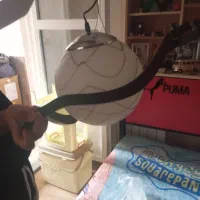 لوستر