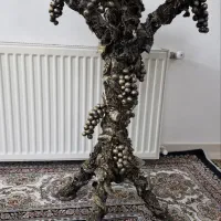 میز کنار سالنی و نهارخوری و جلو مبلی