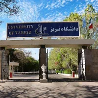 مشاوره نگارش پایان نامه و رساله