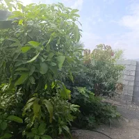 فروش خانه ویلایی ۱۴۰ متری ۲ خوابه