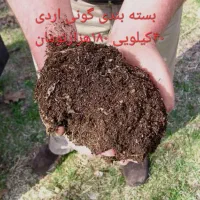 کود پوسیده دامی