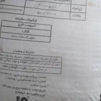 کود سیاه
