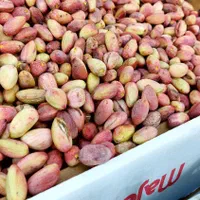 پسته تازه درجه یک + هایپر میوه گلچین|خوردنی و آشامیدنی|شاهدشهر, |دیوار