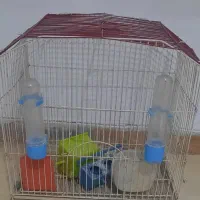 قفس پرنده با وسایل