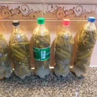 خیارشور