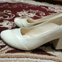 کفش نو|کیف، کفش، کمربند|سبزوار, چهارراه فرودگاه|دیوار