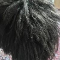 کلاه گیس|آرایشی، بهداشتی، درمانی|تبریز, |دیوار