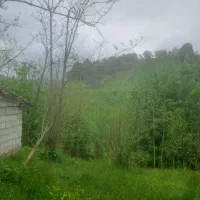 فروش-زمین-مسکونی-با-سند-تگ-برگ