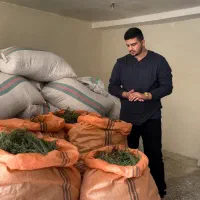 خرید و فروش گیاهان دارویی