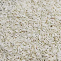 برنج عنبربو امسال