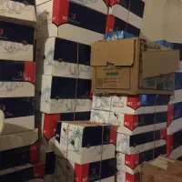شیرالات ws به قیمت عمده نونو