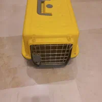 باکس سگ وگربه
