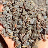 کشمش تاکستان|خوردنی و آشامیدنی|تاکستان, |دیوار