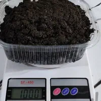 انواع سبزی باقلی .بادمجان کبابی.سیر|خوردنی و آشامیدنی|رشت, گلسار|دیوار