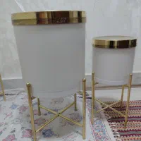 گلدان|گل و گیاه طبیعی|تهران, ائمه اطهار|دیوار