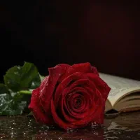 سیم کارت ایرانسل