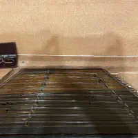 سنتور