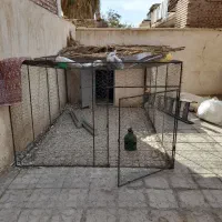 فروش قفس مرغ