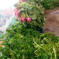 سبزی فروش حرفه ای