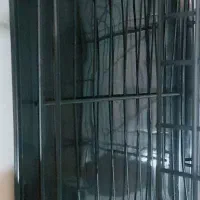 ابچکان رو میزی|آب‌چکان و نظم‌دهنده ظروف|سنندج, |دیوار