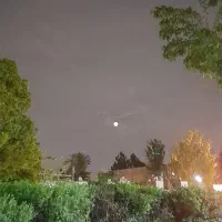 شب و روز  نشینی در طبعیت جنگل  ....